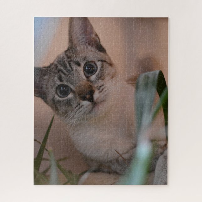 Puzzle Portrait photo de chat (Vertical)
