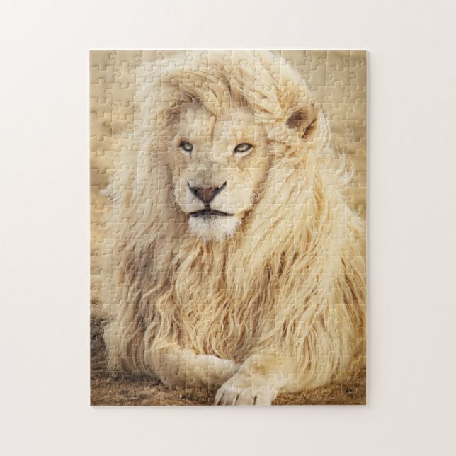 Puzzle Portrait photo du lion blanc (Vertical)