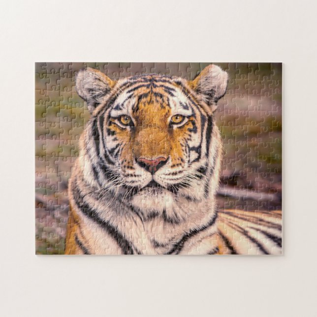 Puzzle Portrait photo Tiger (Horizontal)