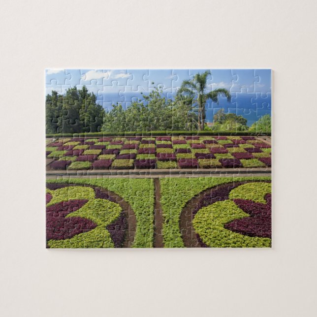 Puzzle Portugal, île de Madère, Funchal. Botanique (Horizontal)