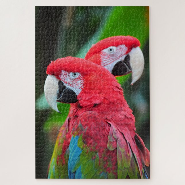 Puzzle Poster coloré de perroquets de macaw (Vertical)