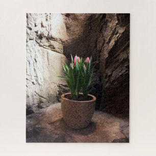 Puzzle Pot de tulipes dans une Grotte
