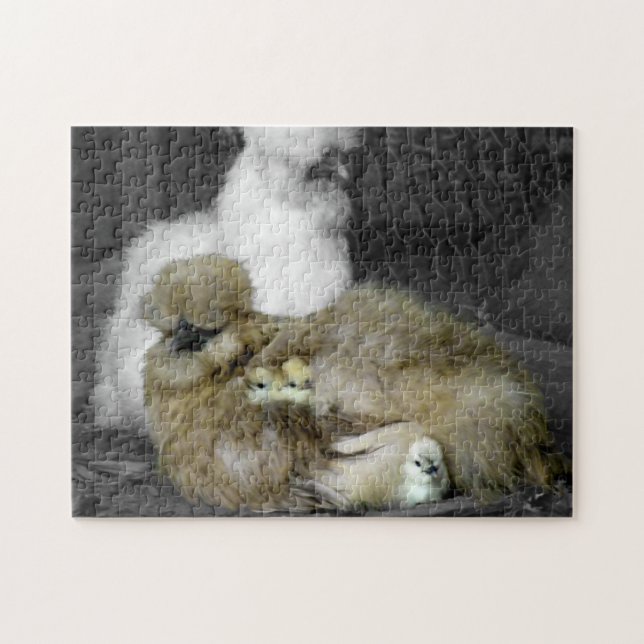 Puzzle Poules de Silkie avec des poussins jetant un coup (Horizontal)