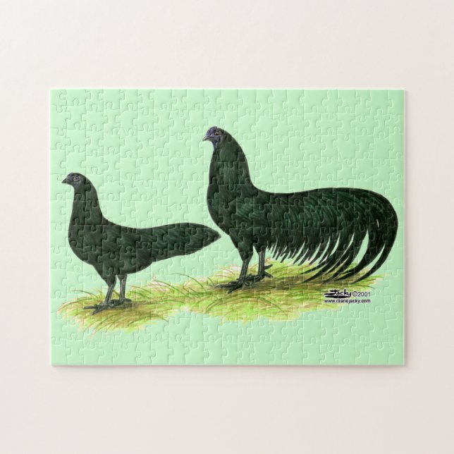 Puzzle Poules Sumatra noires (Horizontal)