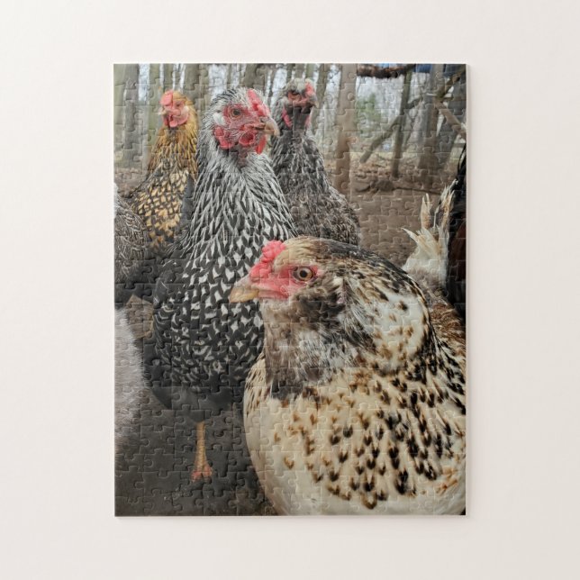 Puzzle Poulet (Vertical)