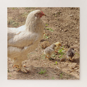 Puzzle poulet, animal, oiseau, ferme, mignonette, puzzle,