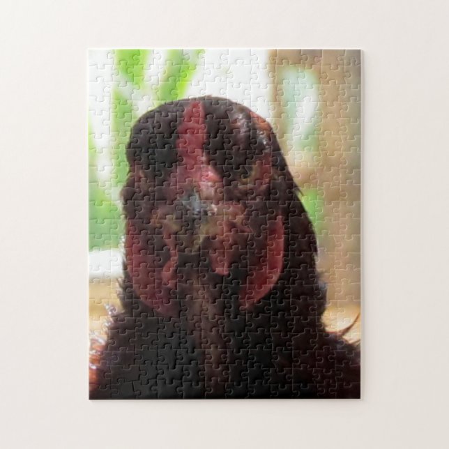 Puzzle - poulet en colère (Vertical)