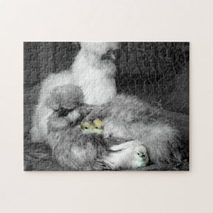 Puzzle Poulet noir et blanc en soie avec poulets jaunes