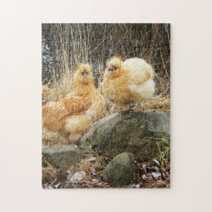Puzzle Poulets de couleur chamois de silkie