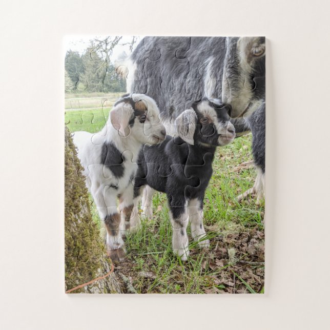 Puzzle pour bébé chèvre facile (Vertical)