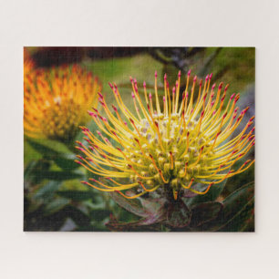 Puzzle Poussin Jaune Kula
