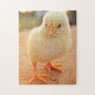 Puzzle Poussins de bébé