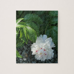 Puzzle précieux de pivoine