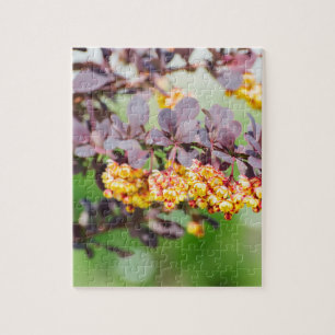 Puzzle Printemps