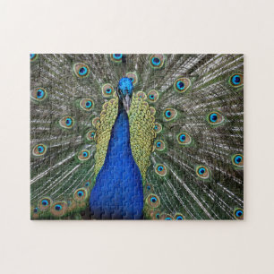 Puzzle Profil de paon magnifique