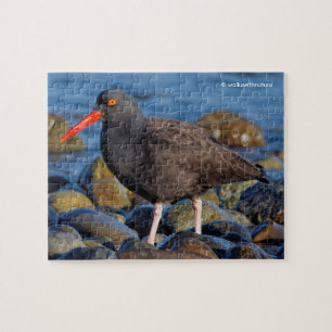 Puzzle Profil d'un Oystercatcher noir