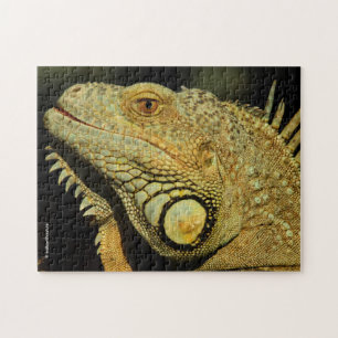 Puzzle Profil d'une Iguana verte