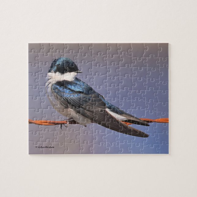 Puzzle Profil éclairé d'un oiseau chanteur d'hirondelle d (Horizontal)