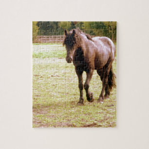 Puzzle Promenade à cheval Brown relaxante