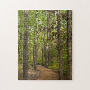 Puzzle Promenade pacifique