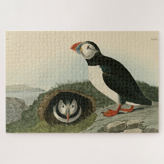 Puzzle Puffin atlantique des oiseaux d'Amérique d'Audubon (Horizontal)