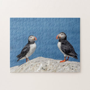 Puzzle Puffin de l'Atlantique au Machias, Maine