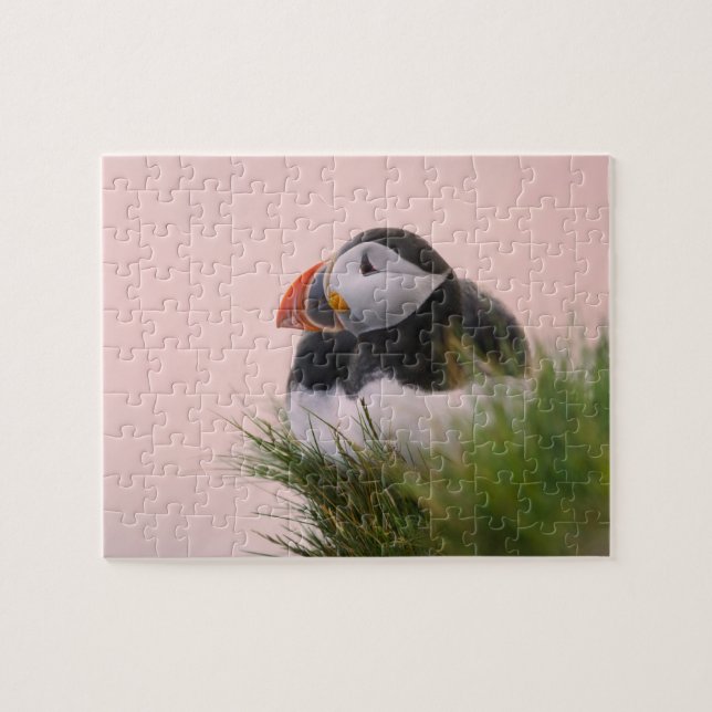Puzzle Puffin de l'Atlantique (Fratercula arctica) (Horizontal)