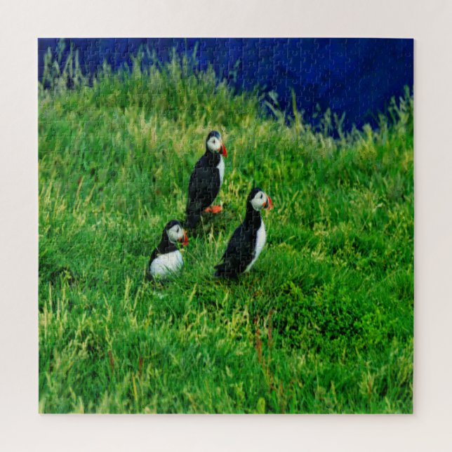 Puzzle Puffins islandais (Vertical)