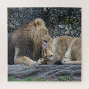 Puzzle Puissant amour Lion