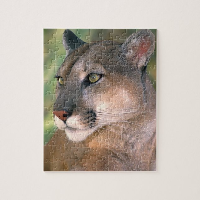Puzzle Puma, Californie (Vertical)