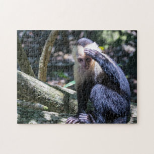 Puzzle Pura vida pour singe capucin à tête blanche