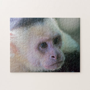 Puzzle Pura vida pour singe capucin à tête blanche