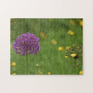 Puzzle Purple Allium Flower Nature Photojardin