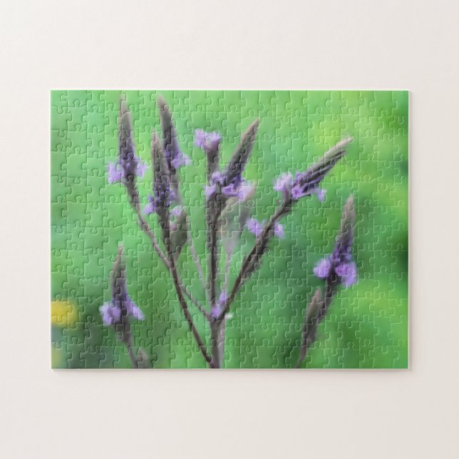 Puzzle Purple Vervain Fleur sauvage peinture photo (Horizontal)