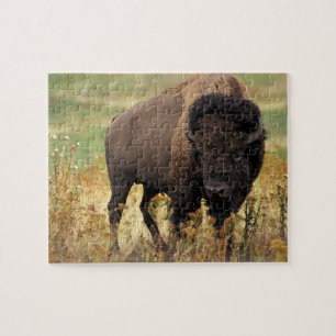 Puzzle Puzzle-Buffle de faune