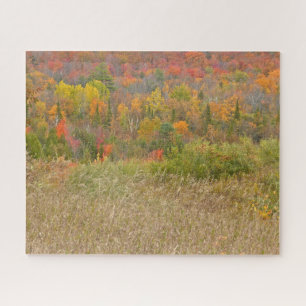 PUZZLE PUZZLE/"CAMPAGNE VIBRANTE EN AUTOMNE"