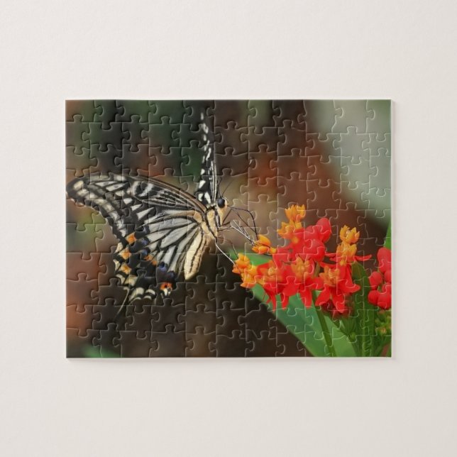 Puzzle Puzzle-Papillon de faune (Horizontal)