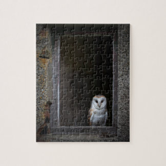 Puzzle Puzzle/puzzle de hibou