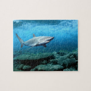 Puzzle Puzzle-Requin de faune