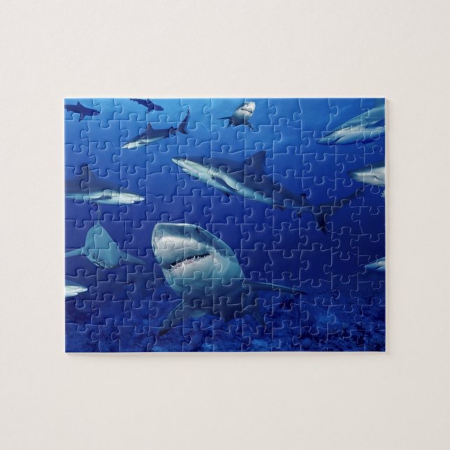 Puzzle Puzzle-requins de la vie marine (Horizontal)