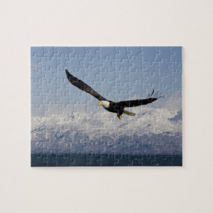 Puzzle Pygargue à tête blanche en vol, Haliaeetus leucoce