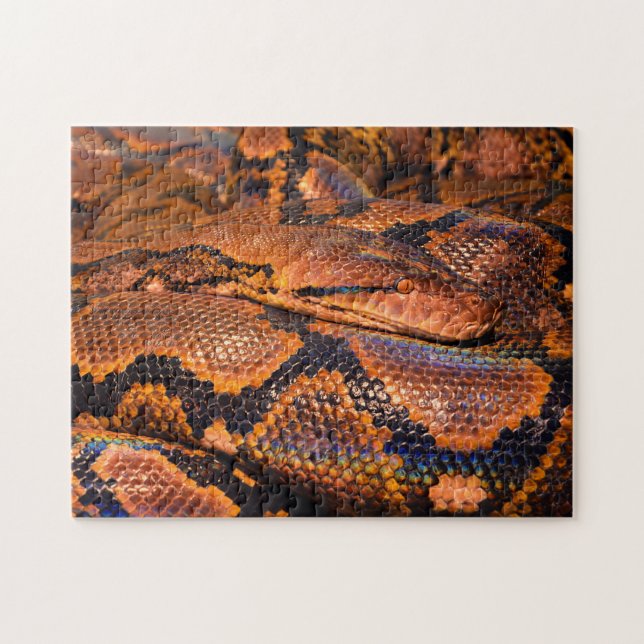 Puzzle Python Boa Snake (Horizontal)