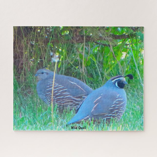 Puzzle Quail sauvage (Horizontal)