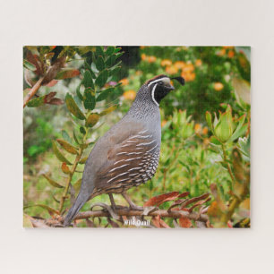 Puzzle Quail sauvage