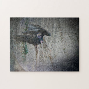 Puzzle Quand le vautour ferme ses ailes