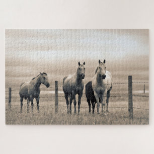 Puzzle Quarter Horses On Canadian Prairie