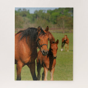 Puzzle Quartier Cheval Mare et poulain debout
