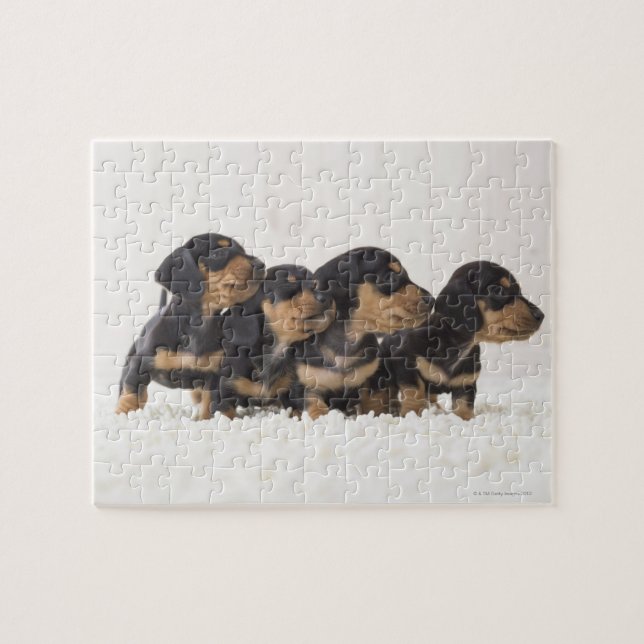 Puzzle Quatre Mini Dachshund (Horizontal)