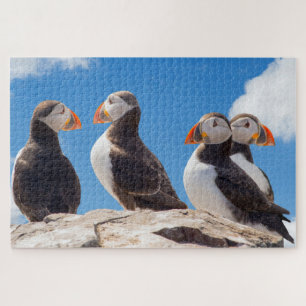 Puzzle Quatre Puffins Posés Sur Un Rocher