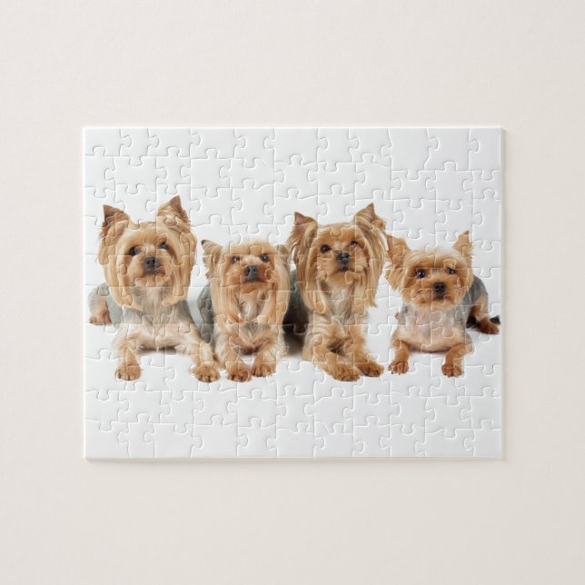 Puzzle Quatre yorkies (Horizontal)